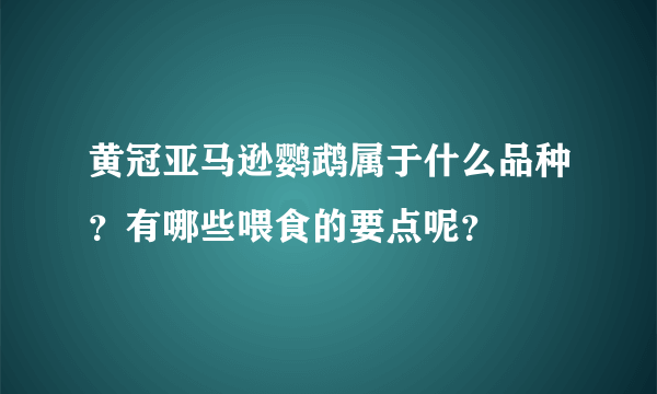 黄冠亚马逊鹦鹉属于什么品种？有哪些喂食的要点呢？