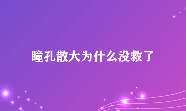 瞳孔散大为什么没救了