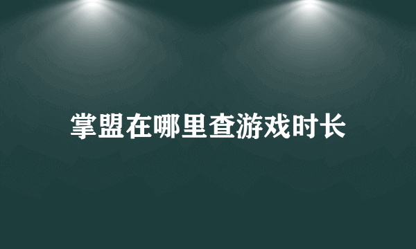 掌盟在哪里查游戏时长