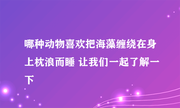 哪种动物喜欢把海藻缠绕在身上枕浪而睡 让我们一起了解一下