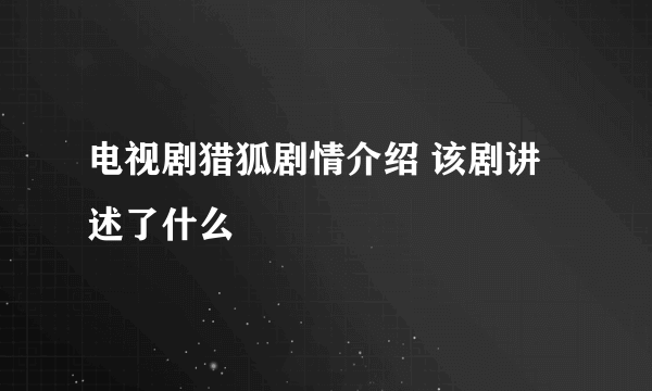 电视剧猎狐剧情介绍 该剧讲述了什么