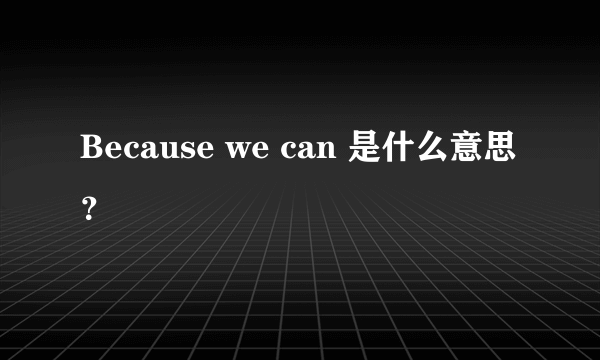 Because we can 是什么意思？