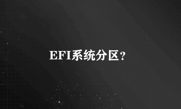 EFI系统分区？