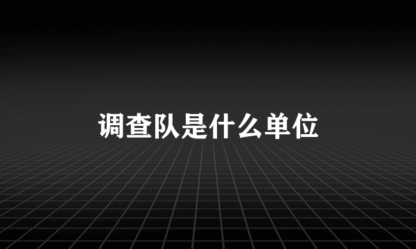 调查队是什么单位