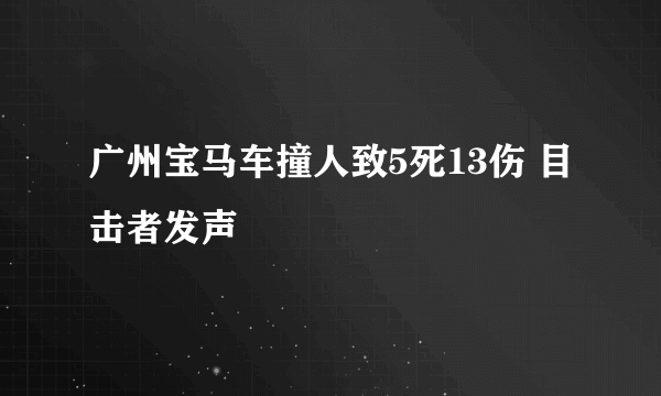 广州宝马车撞人致5死13伤 目击者发声