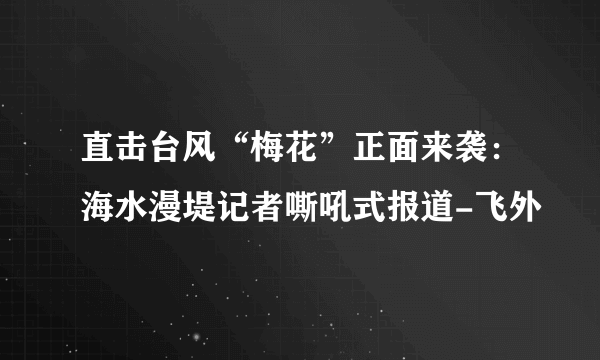 直击台风“梅花”正面来袭：海水漫堤记者嘶吼式报道-飞外