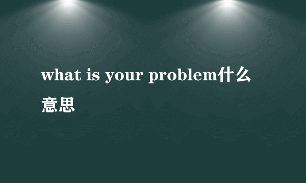 what is your problem什么意思