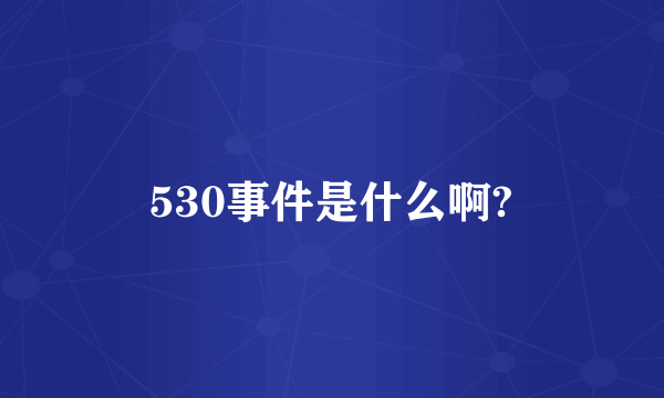 530事件是什么啊?