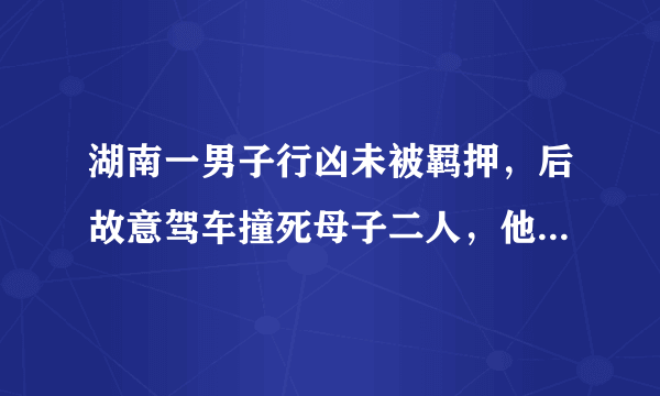 湖南一男子行凶未被羁押，后故意驾车撞死母子二人，他将会面临什么处罚？