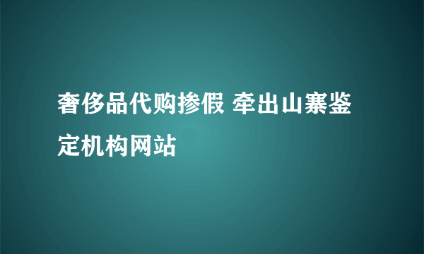 奢侈品代购掺假 牵出山寨鉴定机构网站