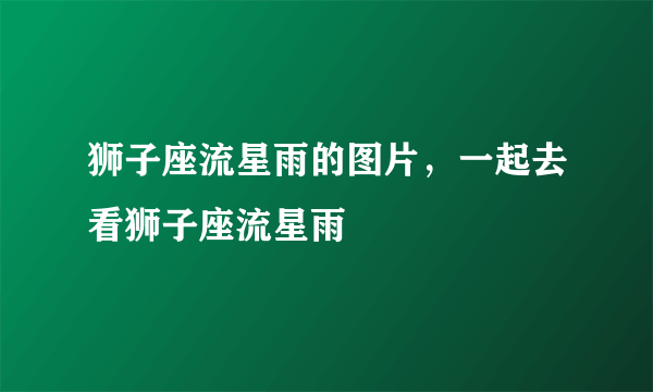 狮子座流星雨的图片，一起去看狮子座流星雨