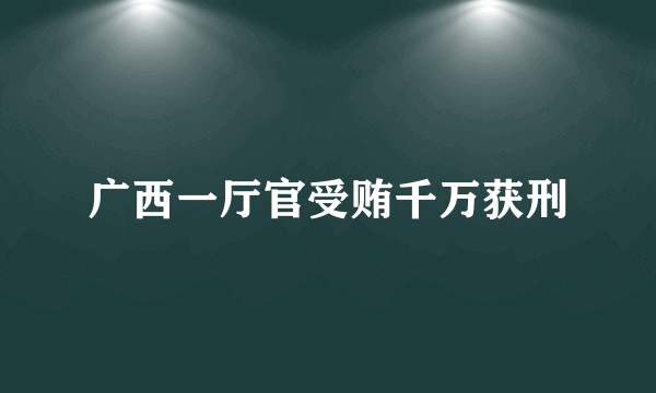 广西一厅官受贿千万获刑