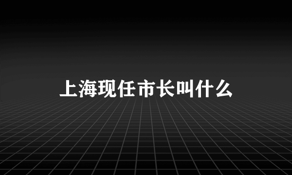 上海现任市长叫什么