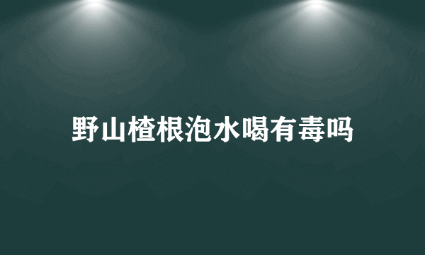 野山楂根泡水喝有毒吗