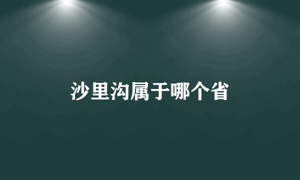 沙里沟属于哪个省