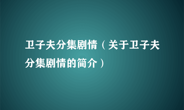 卫子夫分集剧情（关于卫子夫分集剧情的简介）