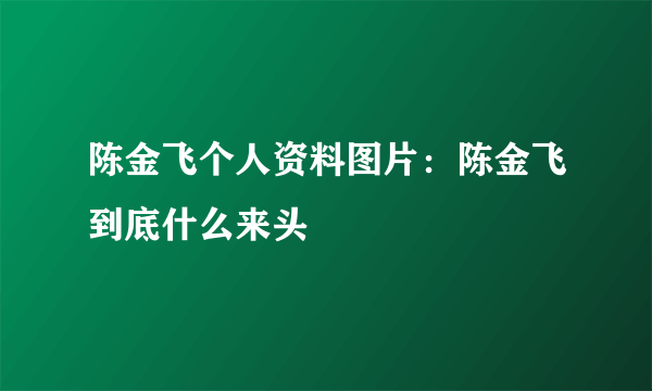 陈金飞个人资料图片：陈金飞到底什么来头