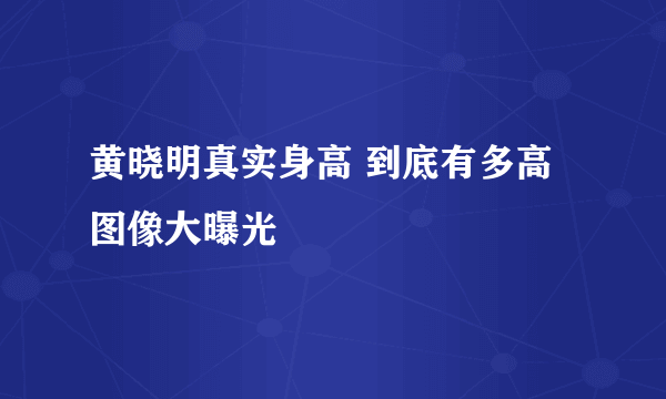 黄晓明真实身高 到底有多高图像大曝光