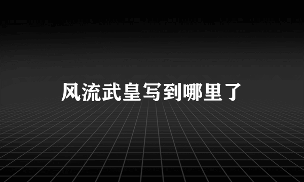 风流武皇写到哪里了