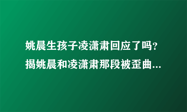 姚晨生孩子凌潇肃回应了吗？揭姚晨和凌潇肃那段被歪曲的往事_飞外网