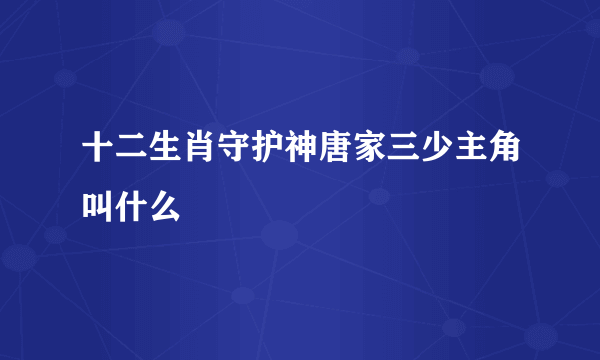 十二生肖守护神唐家三少主角叫什么