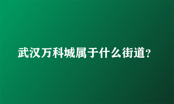 武汉万科城属于什么街道？