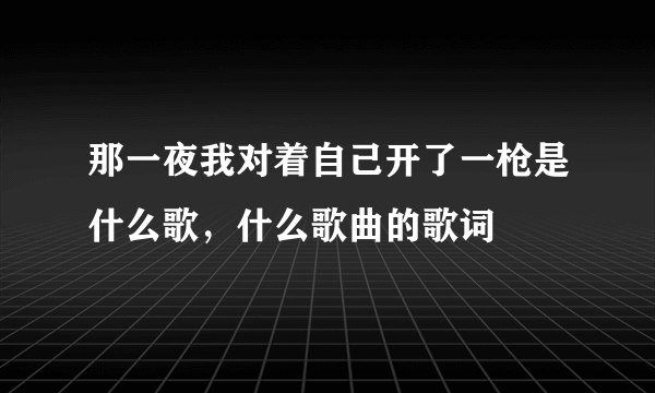 那一夜我对着自己开了一枪是什么歌，什么歌曲的歌词