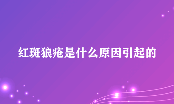 红斑狼疮是什么原因引起的