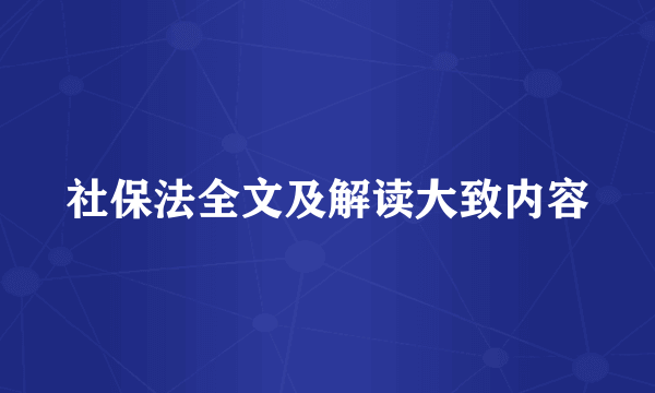 社保法全文及解读大致内容