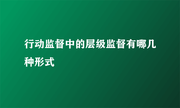 行动监督中的层级监督有哪几种形式