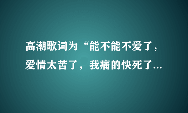 高潮歌词为“能不能不爱了，爱情太苦了，我痛的快死了，也无法将你忘了”请问这歌名是？