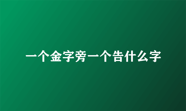 一个金字旁一个告什么字