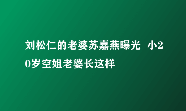 刘松仁的老婆苏嘉燕曝光  小20岁空姐老婆长这样