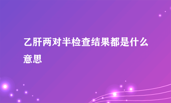 乙肝两对半检查结果都是什么意思