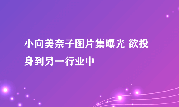 小向美奈子图片集曝光 欲投身到另一行业中