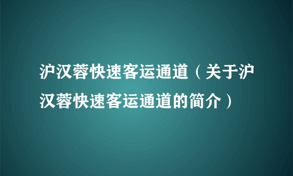 沪汉蓉快速客运通道（关于沪汉蓉快速客运通道的简介）