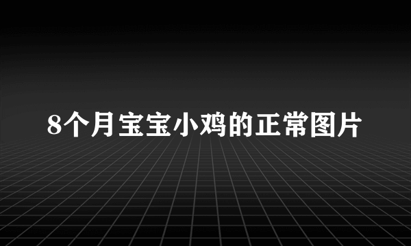 8个月宝宝小鸡的正常图片