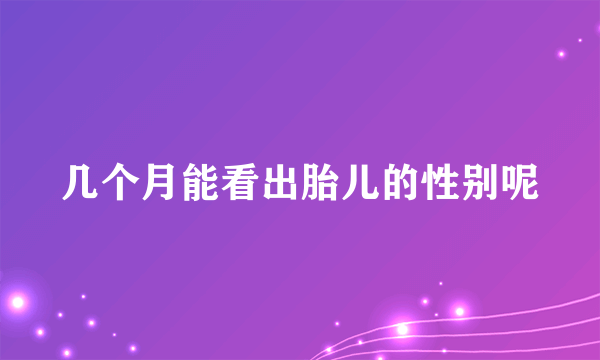 几个月能看出胎儿的性别呢