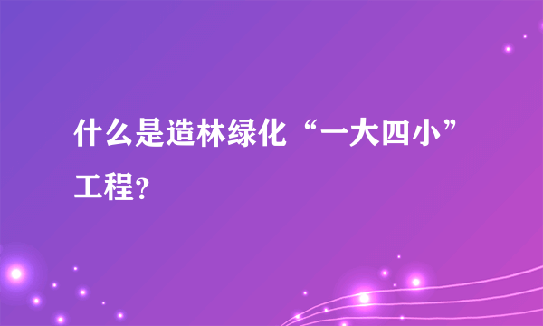 什么是造林绿化“一大四小”工程？