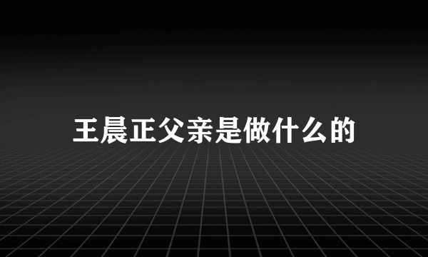 王晨正父亲是做什么的