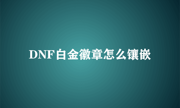 DNF白金徽章怎么镶嵌