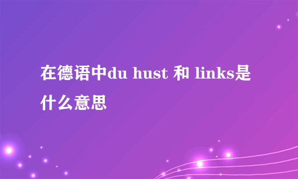 在德语中du hust 和 links是什么意思