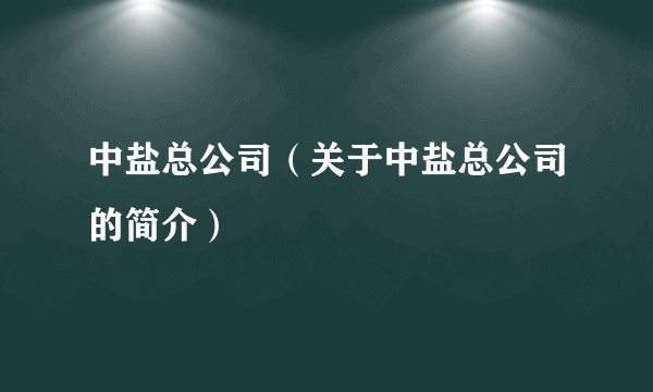 中盐总公司（关于中盐总公司的简介）