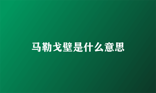 马勒戈壁是什么意思