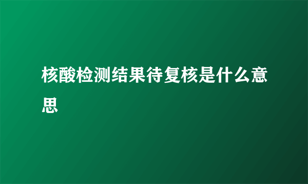 核酸检测结果待复核是什么意思