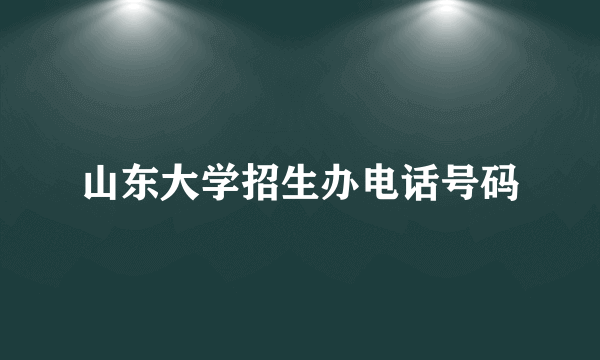 山东大学招生办电话号码