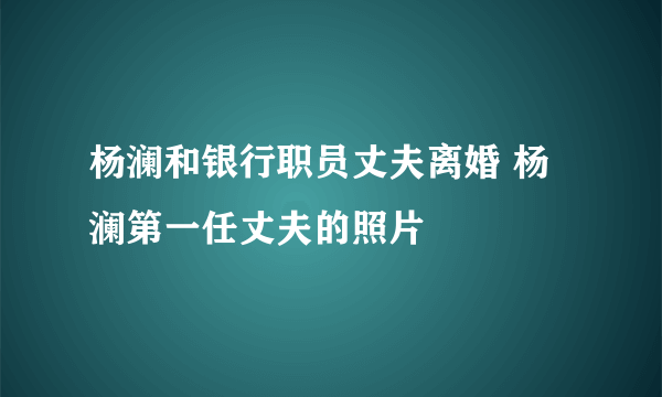 杨澜和银行职员丈夫离婚 杨澜第一任丈夫的照片