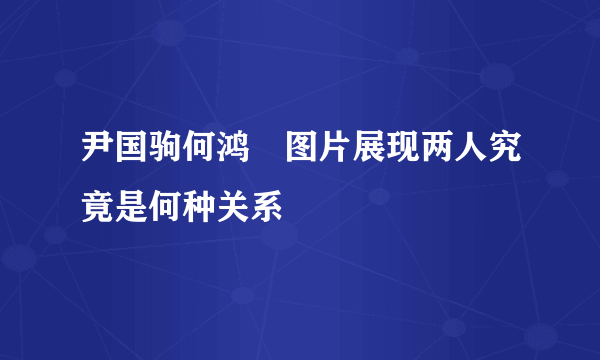 尹国驹何鸿燊图片展现两人究竟是何种关系