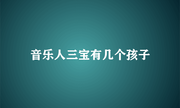 音乐人三宝有几个孩子