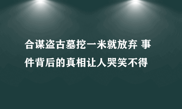 合谋盗古墓挖一米就放弃 事件背后的真相让人哭笑不得